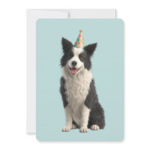 Collie Geburtstagsfeier