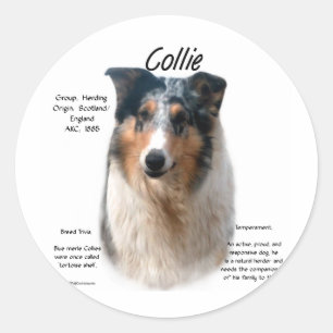 Collie (glattes Merle) Historie Design Runder Aufkleber