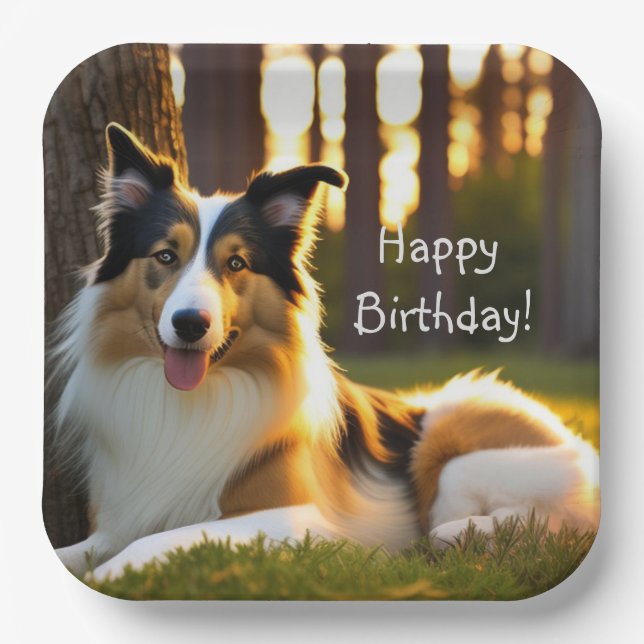 Collie Happy Birthday Pappteller (Vorderseite)