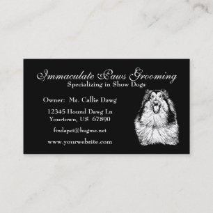Collie Head Study Cartes de visite d'art