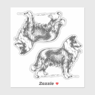 Collie-Hund Aufkleber