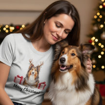 Collie-Hund - Festlicher Collie
