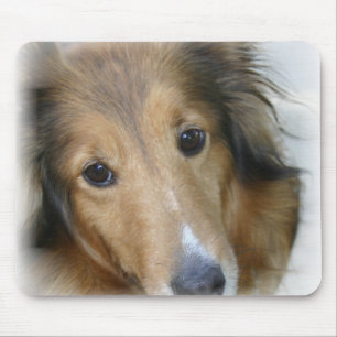 Collie-Hundemausunterlage Mousepad