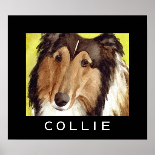 Collie-Hundeplakate Poster (Vorne)