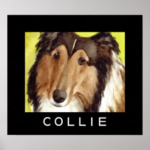 Collie-Hundeposter Poster