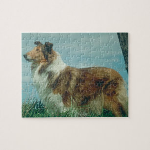 Collie-Hundepuzzlespiel
