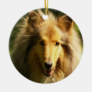 Collie-Hundezucht-Verzierung Keramikornament