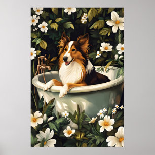 Collie im Badewannenposter, Lustiges Hundeposter, Poster