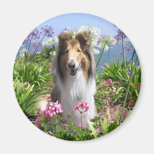Collie im Blumen-Magneten Magnet