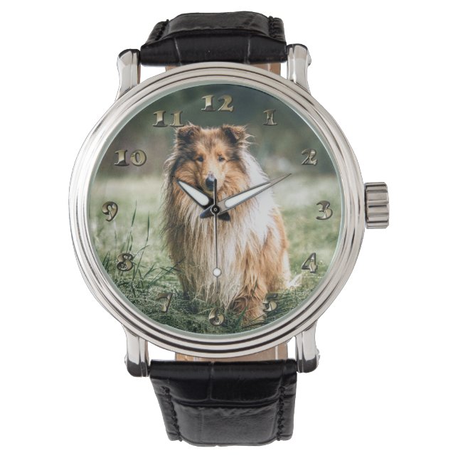 Collie im rauen Grassland Armbanduhr (Vorderseite)
