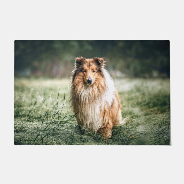 Collie im rauen Grassland Fußmatte (Vorderseite)