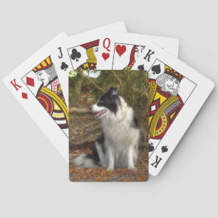 Collie im Wald Spielkarten
