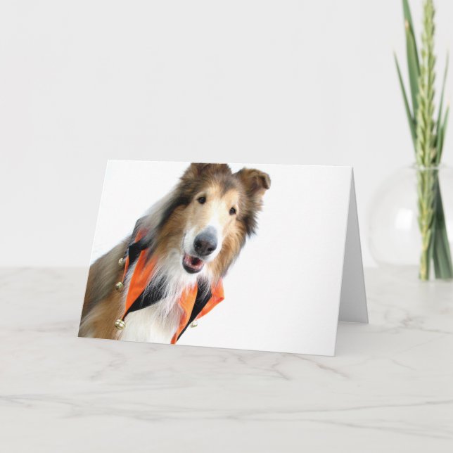 Collie in den Spaßvogel-Kragen-Karten Karte (Vorderseite)