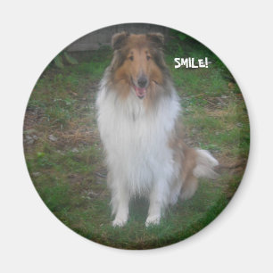 COLLIE LÄCHELN! MAGNET