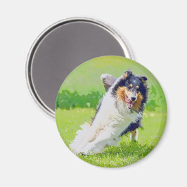 Collie Magnet