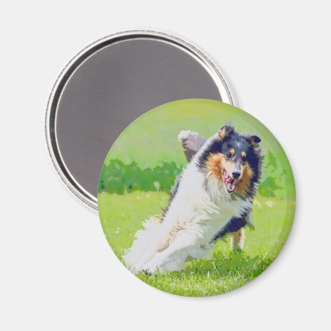 Collie Magnet (Vorderseite/Rückseite)