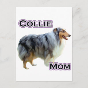 Collie Mama 4 Postkarte