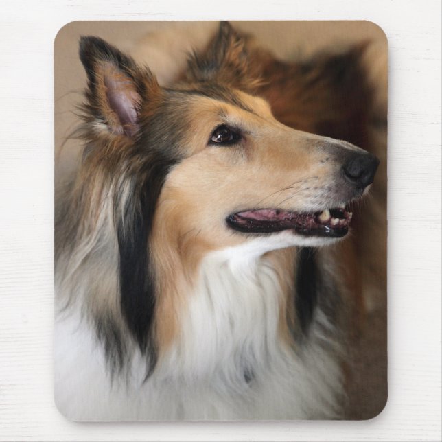 Collie Mousepad (Vorne)