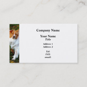 Collie on Lawn Visitenkarte