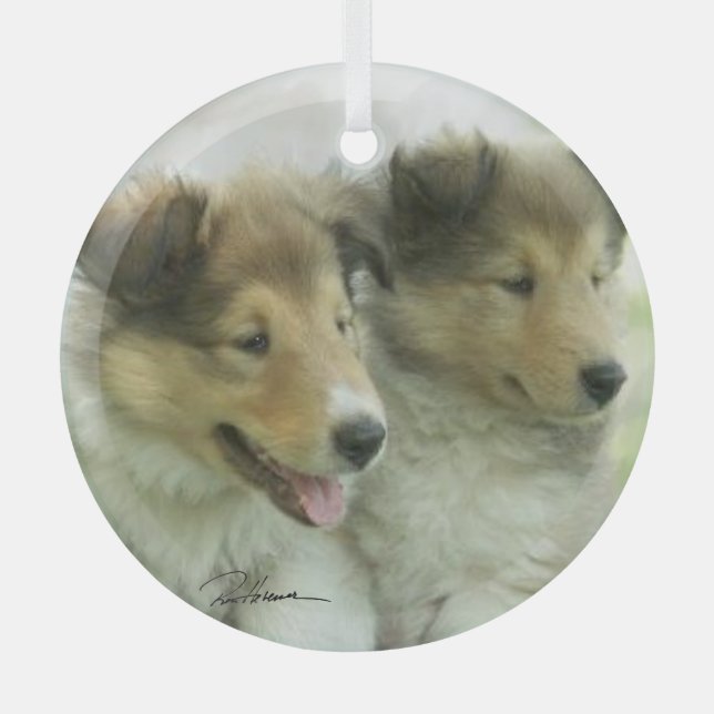 Collie Ornament Aus Glas (Vorderseite)