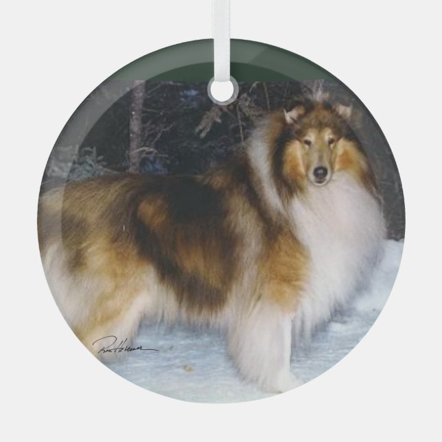 Collie Ornament Aus Glas (Vorderseite)