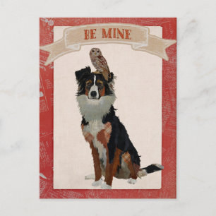 COLLIE & OWL VALENTINE'S Postcard Feiertagspostkarte