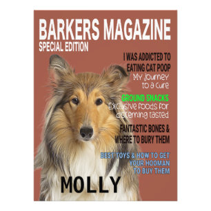 Collie Parody Magazine Cover Fotodruck