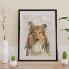 Collie Poster
