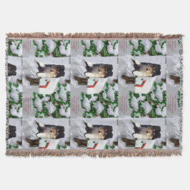 Collie Puppy Christmas Mailbox Decke