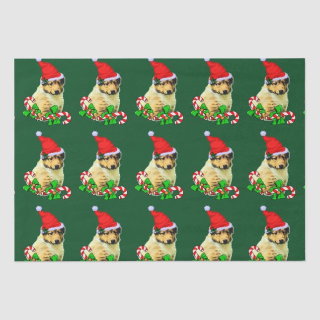 Collie Puppy Weihnachtsmannmütze Christmas Seidenpapier (Vorderseite)