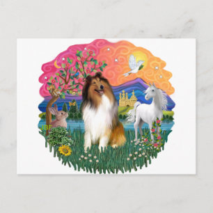 Collie (Schwarzbraun und Weiß) Postkarte