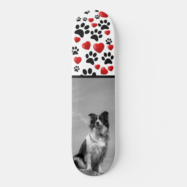 Collie Skateboard (Vorderseite)