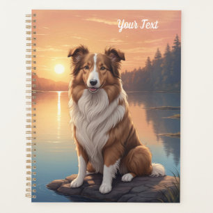 Collie standard au bord d'un lac