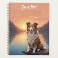 Collie standard par lac