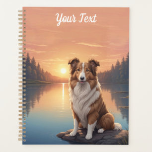 Collie standard par lac