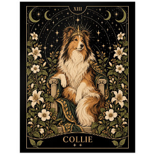 Collie, Sternen-Tarot-Kunst Postkarte