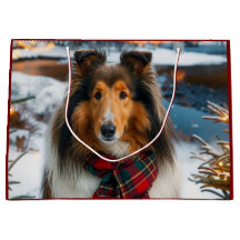 Collie Urlaub