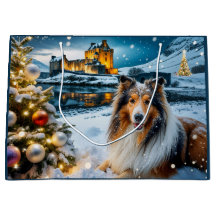 Collie Urlaub