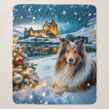 Collie Urlaub