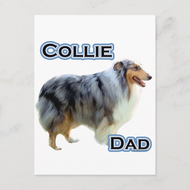Collie Vater 4 Postkarte (Vorderseite)