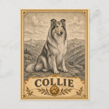 Collie, Vintage Heritage Hund