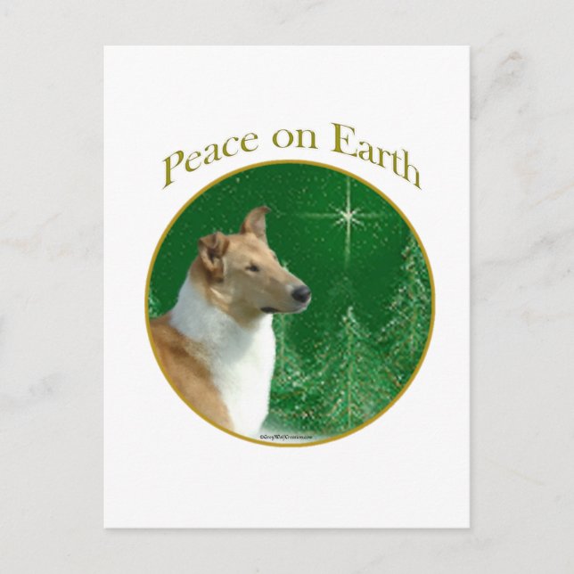 Collie Weltfrieden Postkarte (Vorderseite)