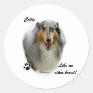 Collie Wie keine andere Rasse - Aufkleber