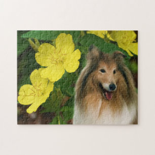 Collie Yellow Primrose Dog Art