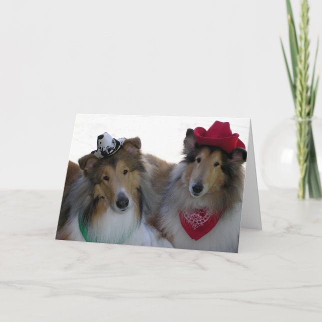 Colliecowpokes-Anlass-Karte Feiertagskarte (Vorderseite)