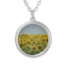 Champ des tournesols