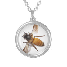 Jolie petite abeille au miel