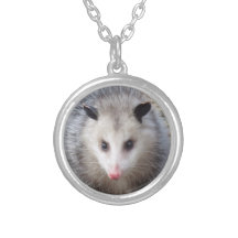Opossum impressionnant