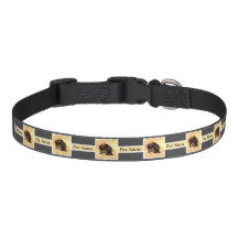 Collier pour chien Schnoodle personnalisé