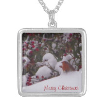 Robin Redsein dans la neige